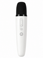Dual Wireless Karaoke Microphones